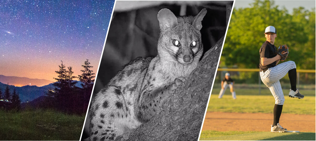 Telescope, Nigh Vision and Speed Gun Category