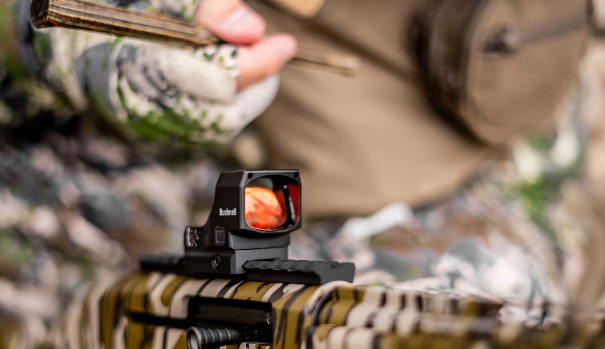 Gift Guide for the Spectator